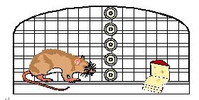 亚洲必赢·bwin(中国唯一)官方网站