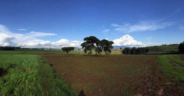 亚洲必赢·bwin(中国唯一)官方网站