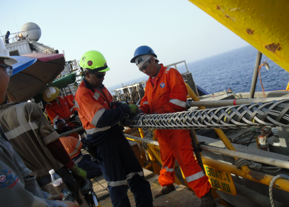 亚洲必赢·bwin(中国唯一)官方网站