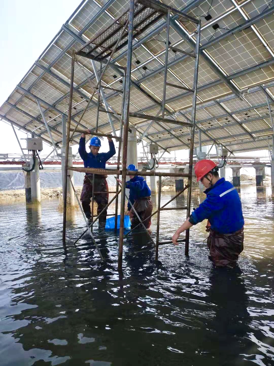 亚洲必赢·bwin(中国唯一)官方网站