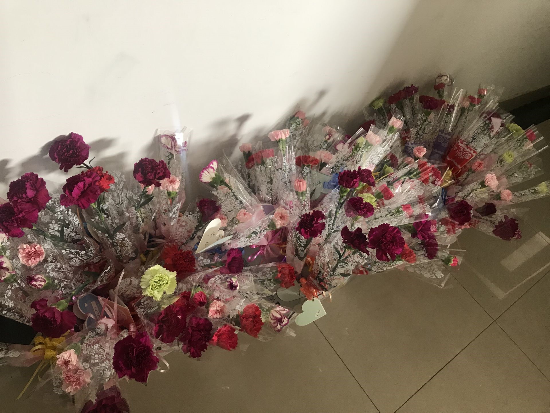 亚洲必赢·bwin(中国唯一)官方网站