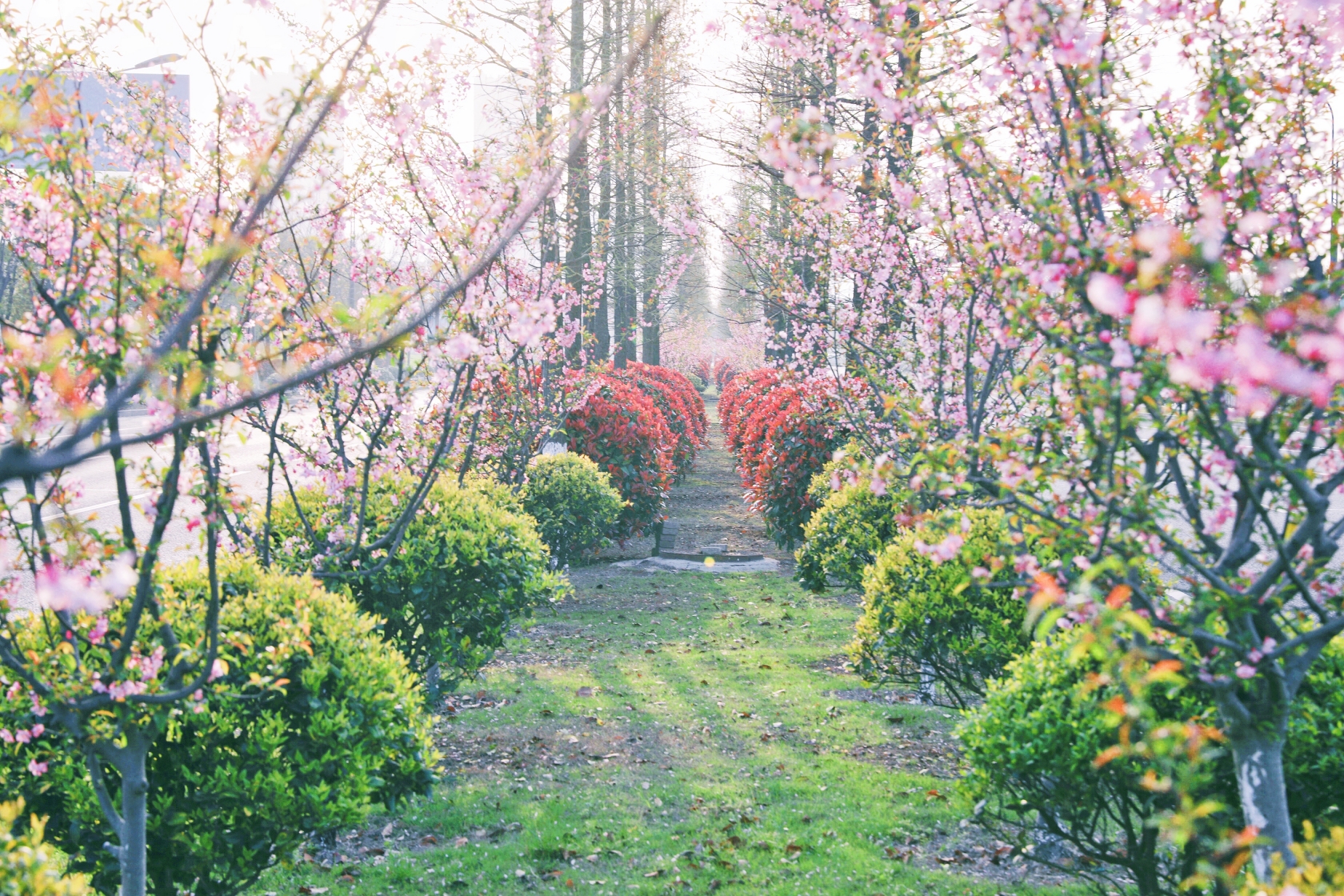 亚洲必赢·bwin(中国唯一)官方网站